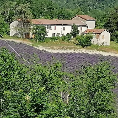Holiday home Ca Burghin