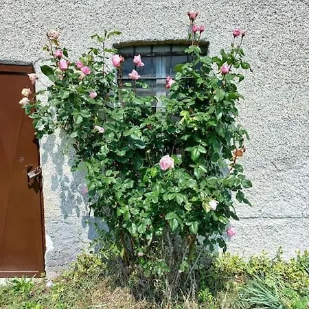 Ca Burghin Feriehus *
